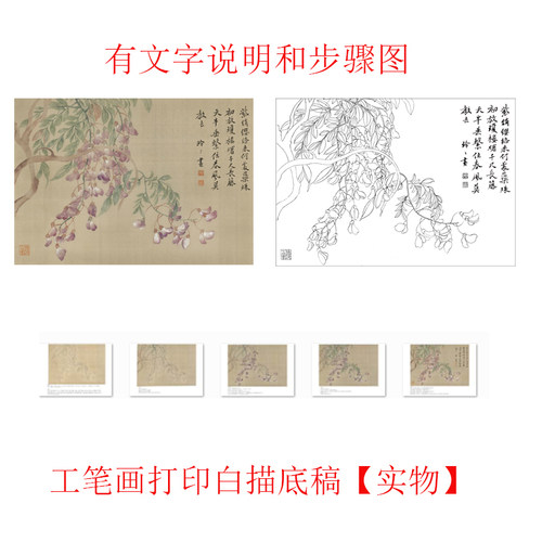 【有步骤】国画工笔画打印白描底稿恽寿平没骨花鸟图案初学者临摹