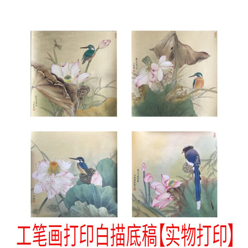 国画白描线稿斗方荷花勾线用于过