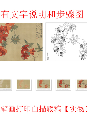 步骤国画工笔画白描底稿恽寿平