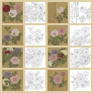 单选】工笔画打印白描底稿斗方牡丹花卉高清板绘线描初学者临摹
