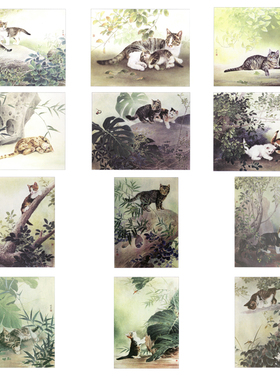 国画工笔画打印白描底稿动物小猫12幅一套初学者临摹勾线过稿
