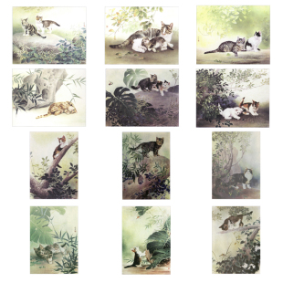 国画工笔画打印白描底稿动物小猫12幅一套初学者临摹勾线过稿