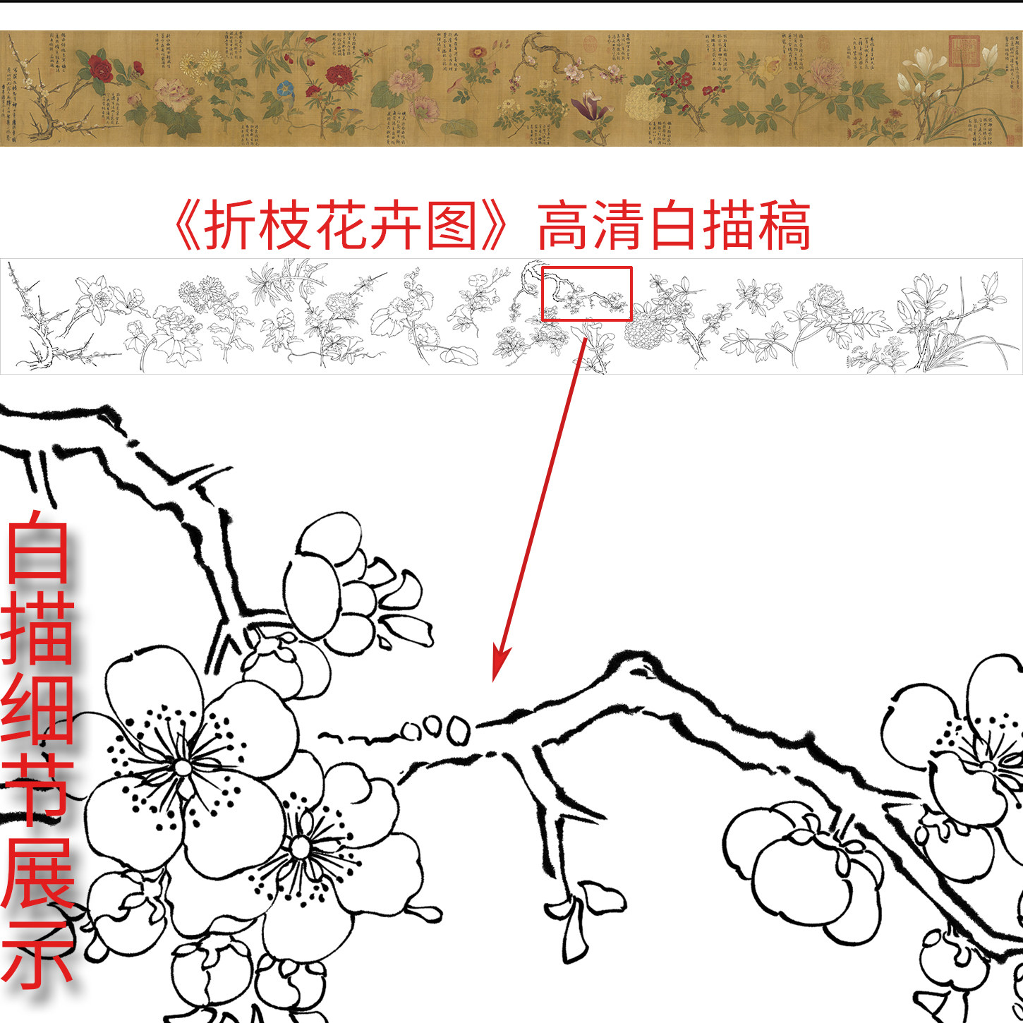 工笔画打印白描底稿宋画横幅花鸟折枝花卉图初学者临摹过稿上色