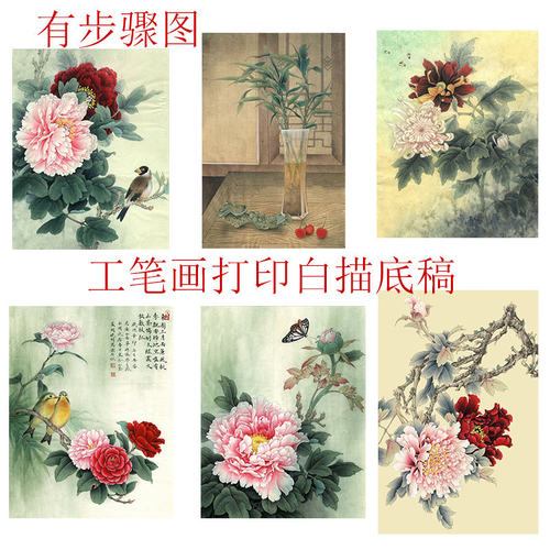 工笔画打印白描月季菊花步骤图