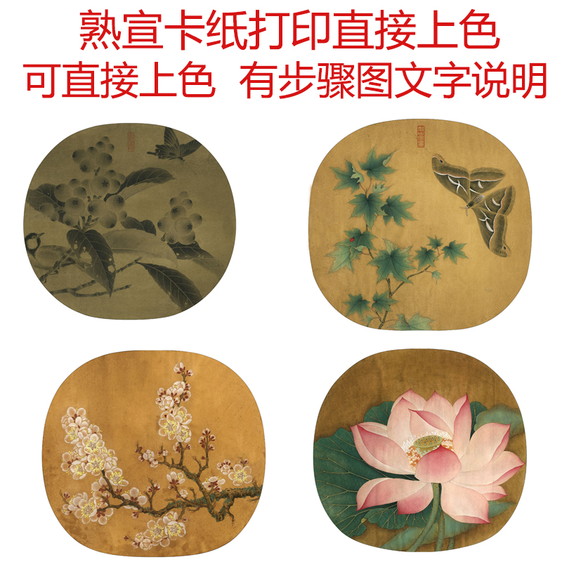 工笔画打印熟宣卡纸33厘米零基础直接上色圆形花鸟宋画初学者临摹