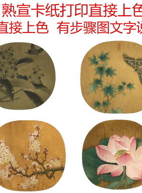 熟萱卡纸直接上色初学者上色练习