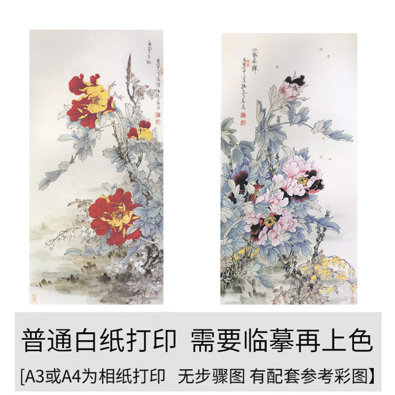 国画工笔画打印白描底稿牡丹高清线描竖幅初学者临摹勾线上色练习,家居饰品,国画,淘宝优惠券,粉丝福利购,淘宝优惠卷