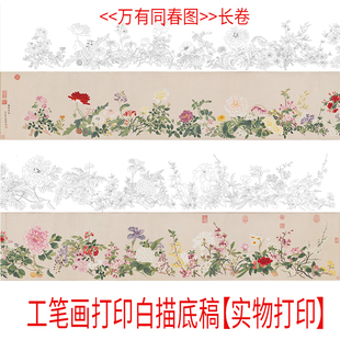 工笔画打印白描底稿《万有同春图》长卷高清线描初学者临摹过稿