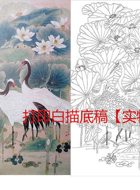 线稿工笔画竖幅四尺白描线稿鹤