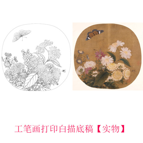 工笔画打印白描底稿宋朱绍宗菊从飞碟图临摹初学者线描过稿素材