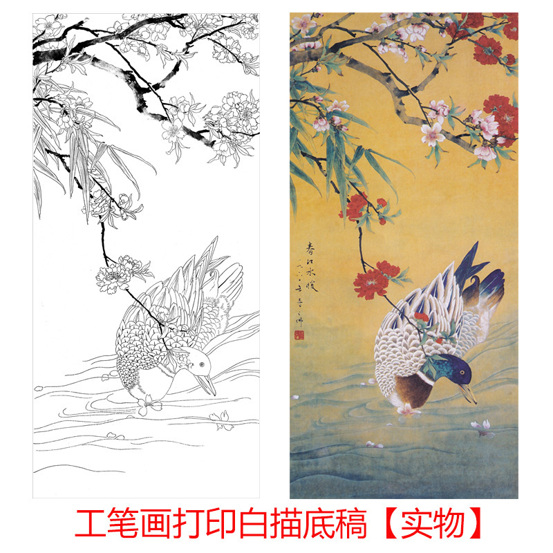 工笔画打印白描底稿陈之佛花鸟竖幅初学者临摹勾线上色练习