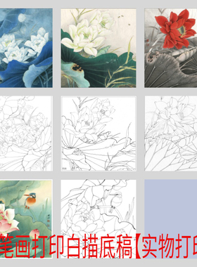 工笔画白描底稿斗方荷花有步骤图