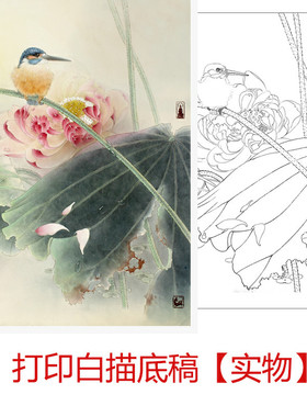 国画线稿花鸟临摹勾线四尺宣纸