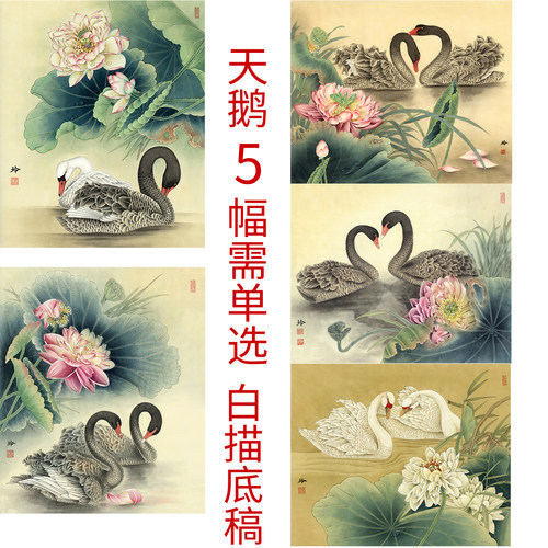 国画有步骤郑玲玲临摹勾线练习