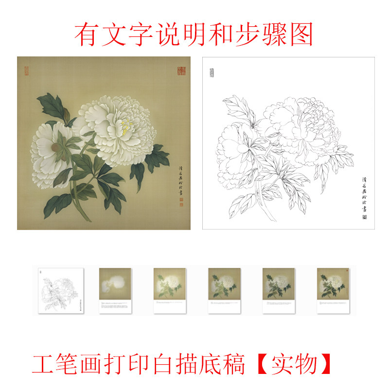 有步骤图工笔画打印白描底稿没骨牡丹用于初学者临摹勾线练习上色