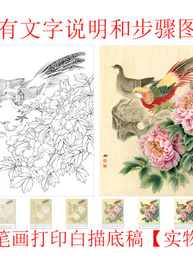 步骤打印郑玲玲锦鸡勾线国画