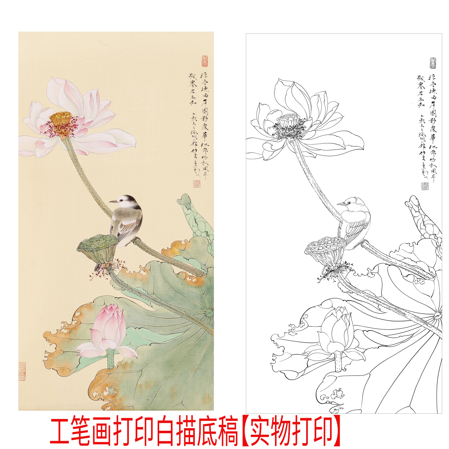工笔画打印白描底稿竖幅荷花小鸟高清线稿初学者临摹过稿创作参考
