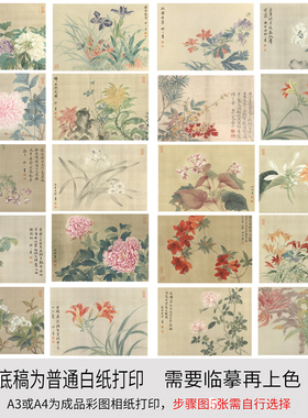 初学者临摹白描底稿小品