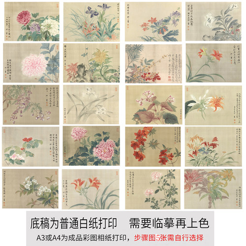 初学者临摹白描底稿小品