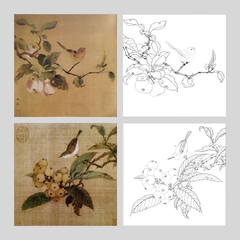 工笔画打印底稿宋画小品《枇杷山鸟图》《果熟来禽图》初学者临摹