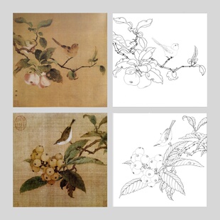 工笔画打印底稿宋画小品《枇杷山鸟图》《果熟来禽图》初学者临摹
