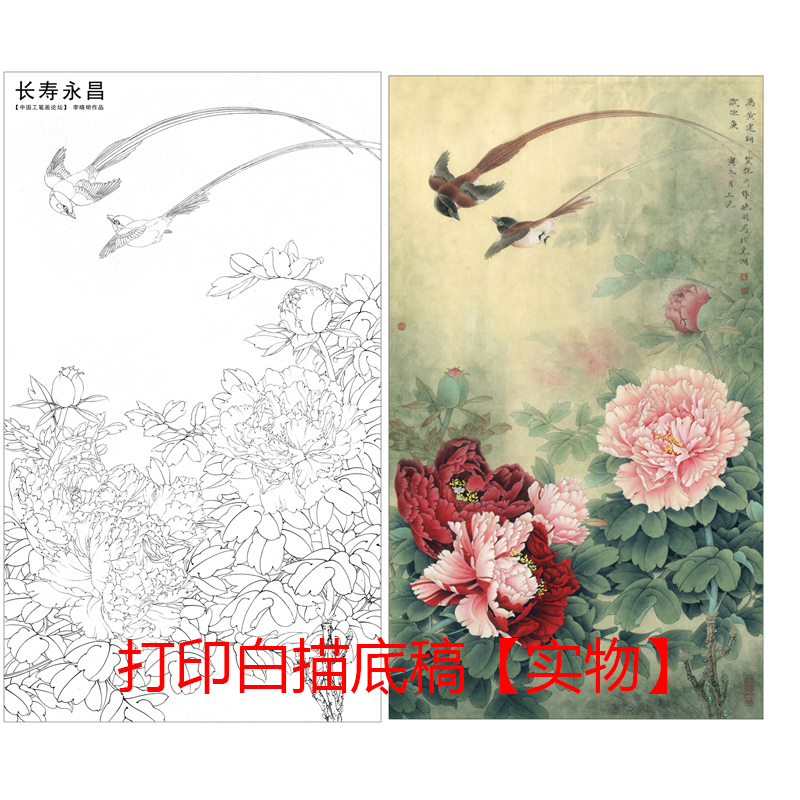 国画新款图案白描底稿竖幅花鸟四尺六尺初学者临摹透稿勾线练习 家居饰品 国画 原图主图