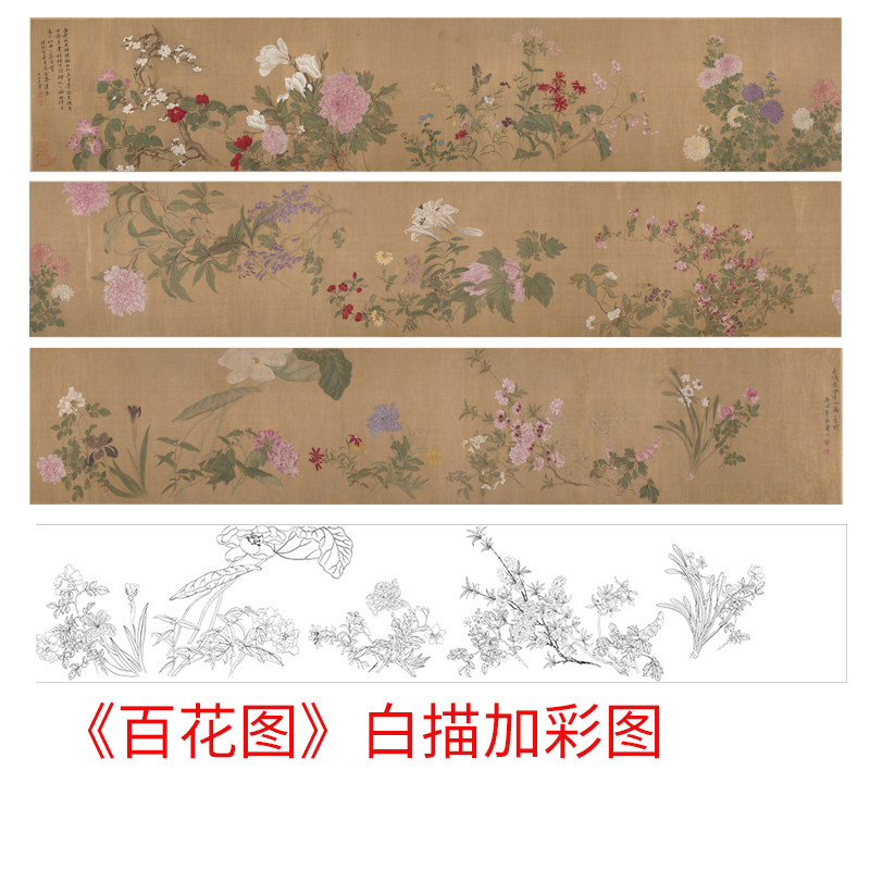 工笔画白描底稿恽寿平《百花图》高清线描彩图底稿初学者临摹过稿,家居饰品,国画,淘宝优惠券,粉丝福利购,淘宝优惠卷