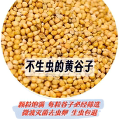 新黄谷子带壳小米虎皮牡丹玄凤中小型鹦鹉饲料文鸟鸟粮鸟食5斤