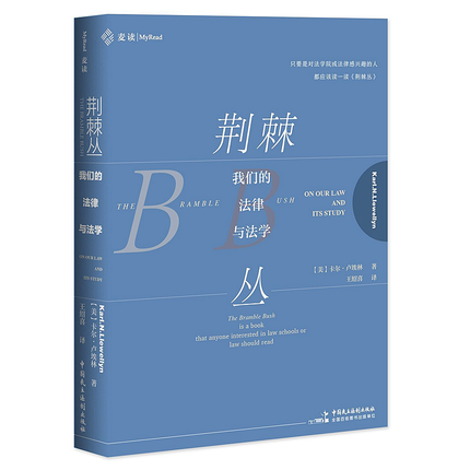 正版 2020新书 麦读 荆棘丛 我们的法律与法学 【美】卡尔·卢埃林 著 王绍喜 译 中国民主法制出版社 9787516220771