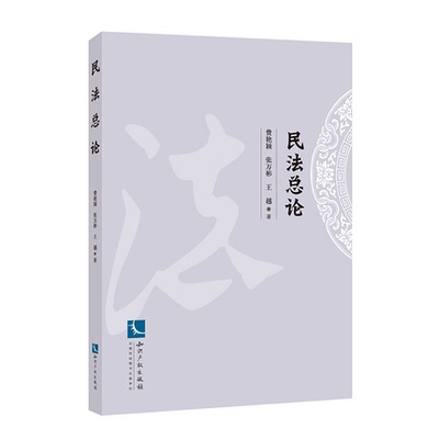 正版 2020新书 民法总论 费艳颖, 张万彬, 王越 知识产权出版社 9787513067553