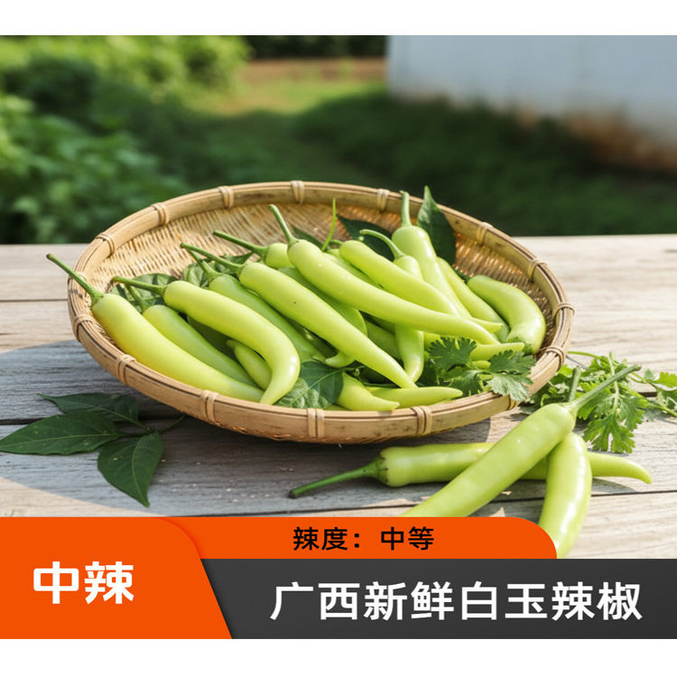 广西白玉辣椒大白辣椒新鲜采摘大白玉椒炒菜泡椒蘸酱商用家用菜椒,水产肉类/新鲜蔬果/熟食,辣椒,淘宝优惠券,粉丝福利购,淘宝优惠卷