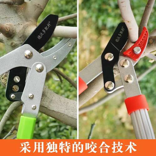 粗枝剪修枝剪修剪树枝果树剪刀高空剪园艺省力伸缩大力剪园林工具