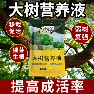 树木营养液吊针液通用型大树输液激活液袋果树移栽生根剂送针管子