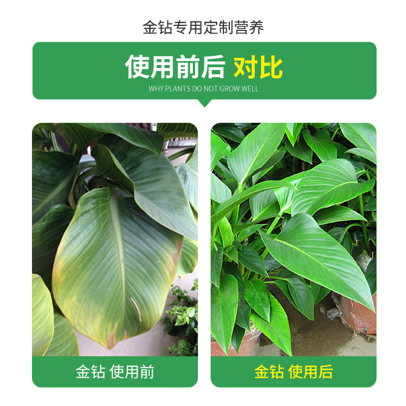 金钻专用肥料营养液家用室内养花绿钻红钻大叶绿公主肥料盆栽通用