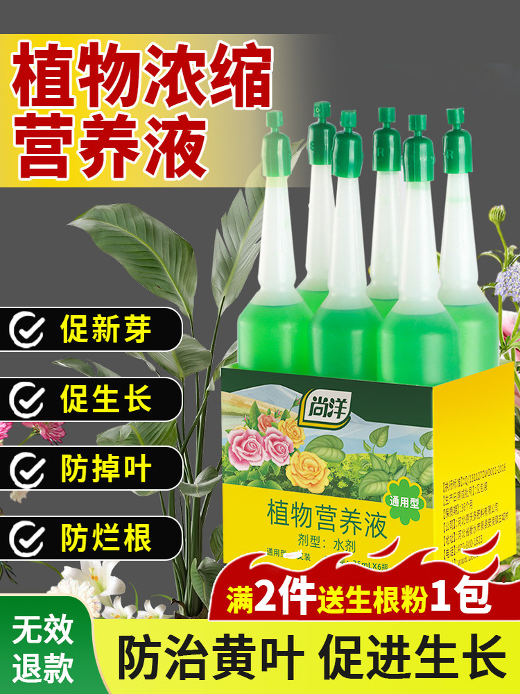 新疆包邮植物营养液养花肥料家用盆栽通用型水培绿萝富贵竹发财树