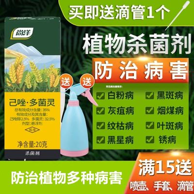 花卉植物多菌灵杀菌剂通用型