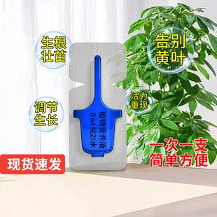 营养液植物通用型盆栽花肥小支家用发财树富贵竹绿萝花卉绿植肥料
