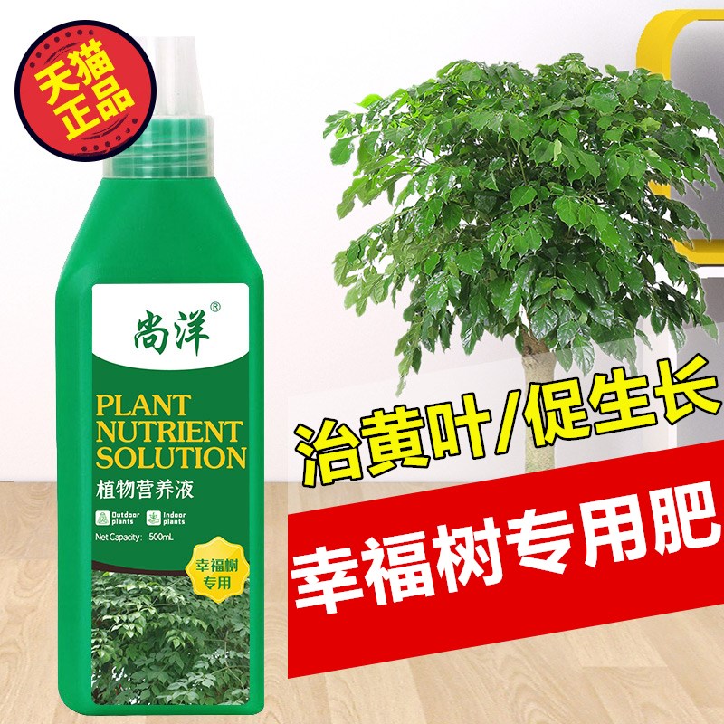 盆栽肥料室内 价格 怎么样 图片