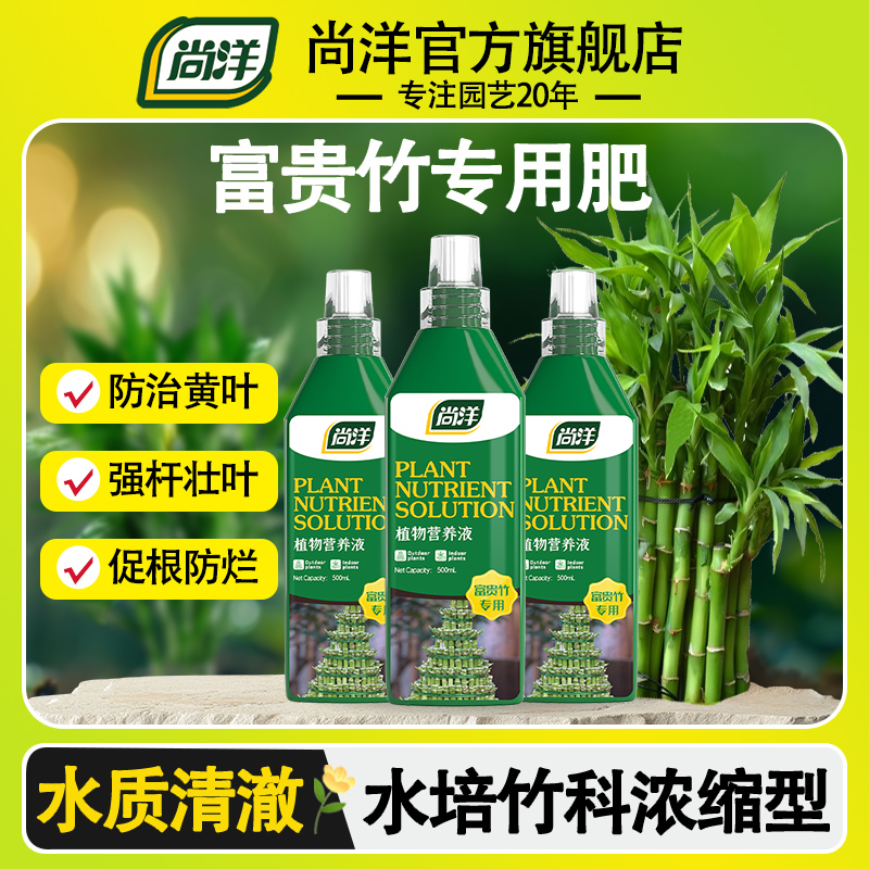 富贵竹专用营养液肥料治叶子发黄