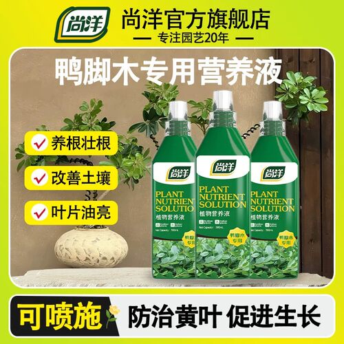 鸭脚木营养液肥料不黄叶