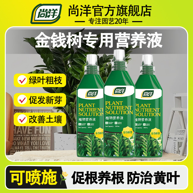 金钱树肥料专用肥营养液室内专用平安树家用防黄叶养花肥料通用型,鲜花速递/花卉仿真/绿植园艺,家庭园艺肥料,淘宝优惠券,粉丝福利购,淘宝优惠卷