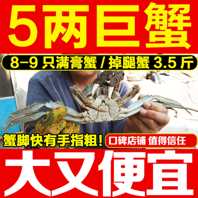 三水家大闸蟹4.5掉腿蟹大大大