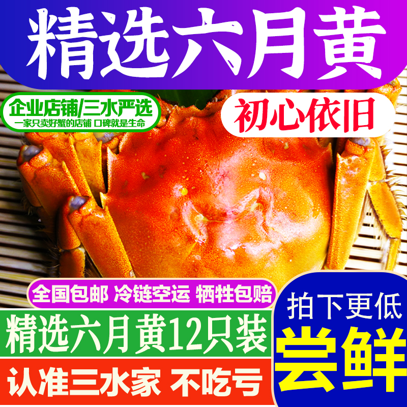 三水家六月黄10只送2只满黄蟹鲜活螃蟹洪泽湖大闸蟹江苏水产包赔