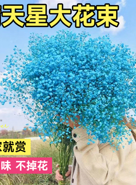 满天星干花花束客厅高级感摆设