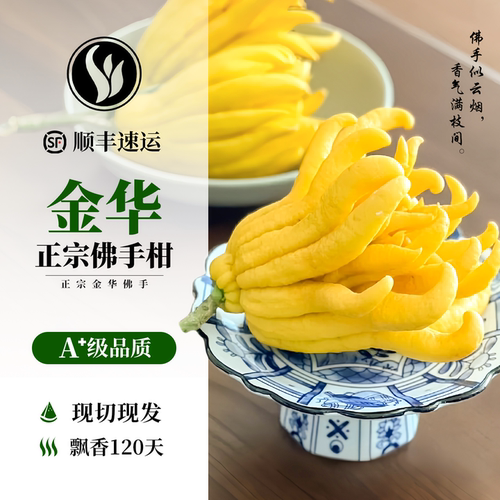 正宗金华佛手柑超级佛手瓜鲜果切枝闻香室内观赏食用摆件天然新鲜
