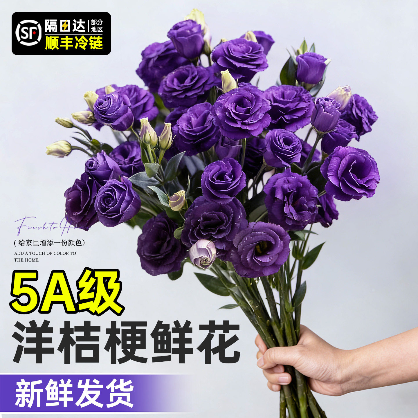 洋桔梗鲜花插花云南直发水养鲜切花客厅办公室花瓶插花鲜切花捧花,鲜花速递/花卉仿真/绿植园艺,花材,淘宝优惠券,粉丝福利购,淘宝优惠卷