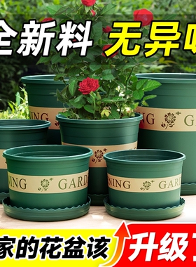 阳台种菜青山加仑盆5加仑矮胖三代加厚环球种植箱菜园专用盆栽盆