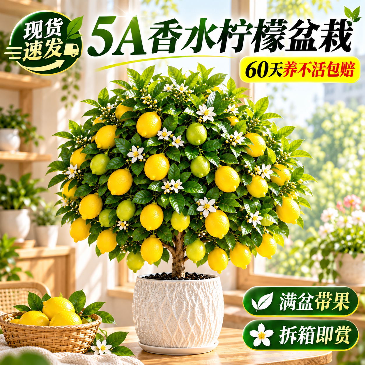 香水柠檬树盆栽带果水果树苗可食用客厅绿植物室内外阳台四季结果