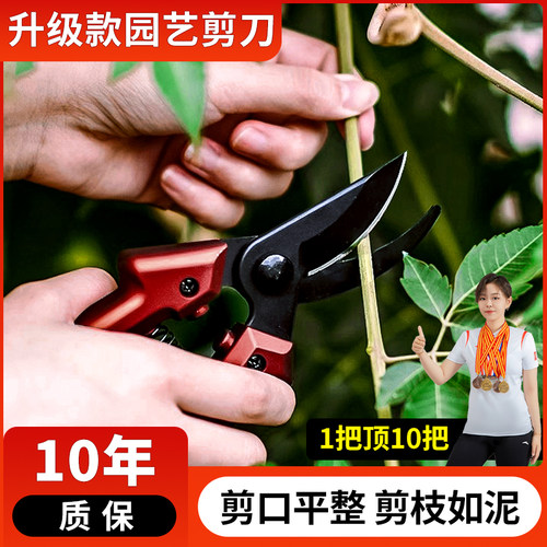 园艺剪刀园林花艺修剪树枝剪刀果树采摘专用剪刀强力剪子工具修枝