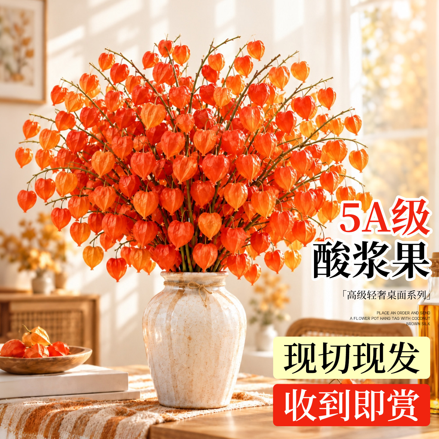 酸浆果鲜花鲜切花菜云南基地直发家用插花干花灯笼果花卉花期超长